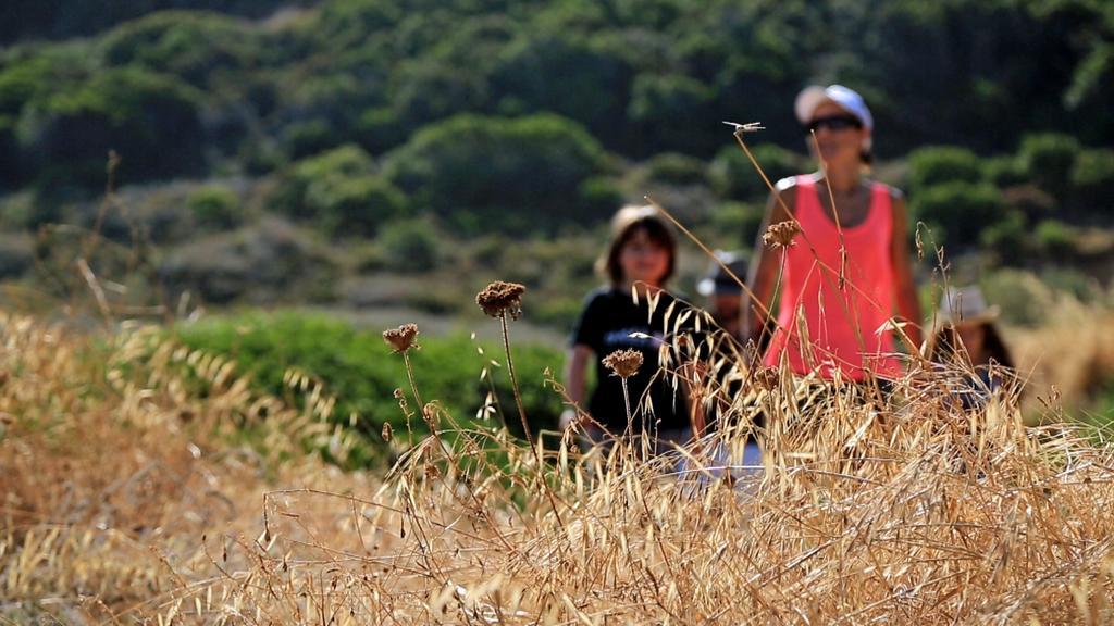 Village De Vacances Paese Di Lava, Grand Ajaccio Alata Zewnętrze zdjęcie